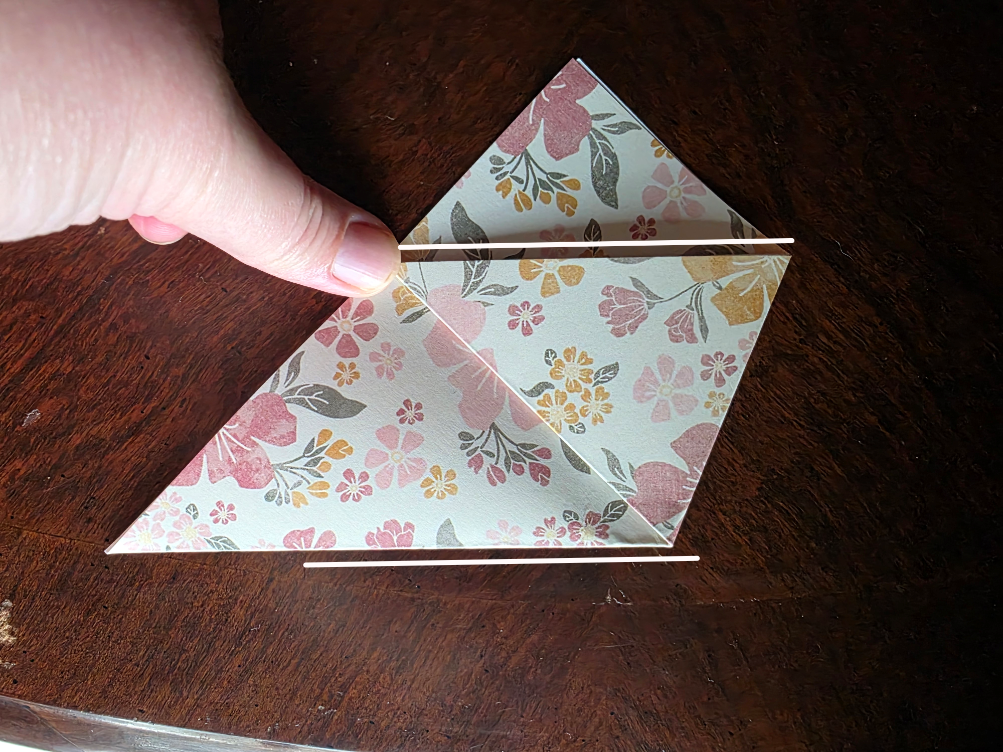 Step 3 of Seed Packet